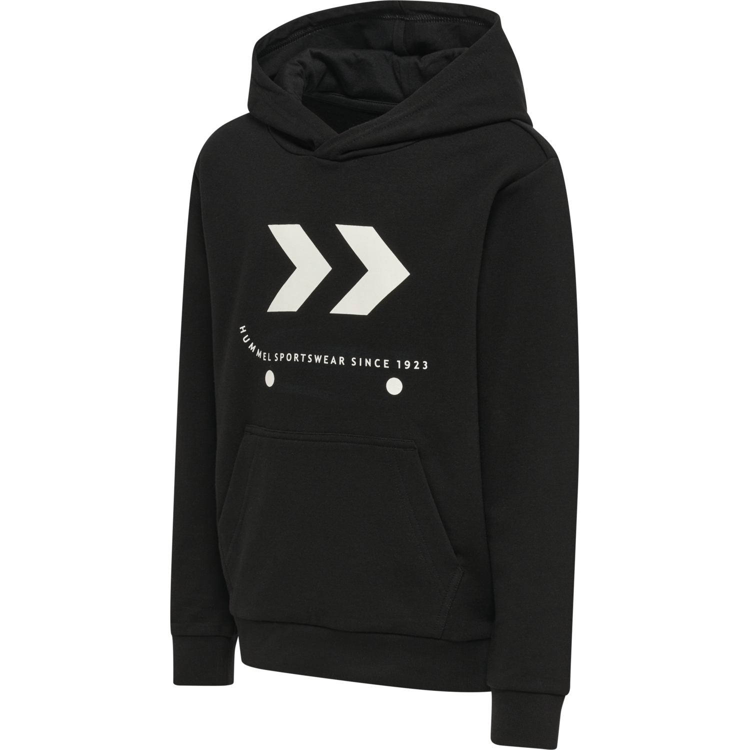 Hummel SKATE HOODIE